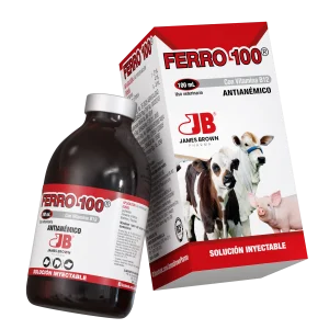 Ferro100