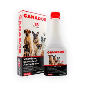 Ganador