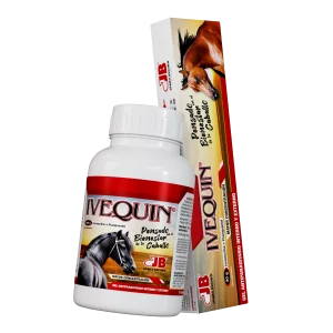Ivequin