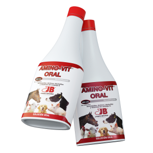 Render-AminoVit-Oral