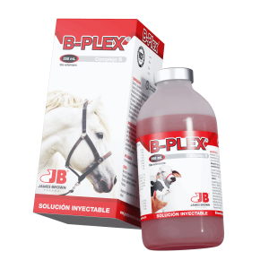 Render-B-Plex Render-B-Plex