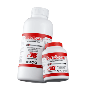 Render-Bendacur Render-Bendacur