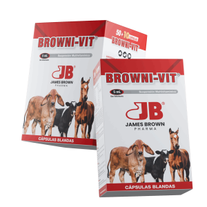 Render-Browni-Vit Render-Browni-Vit