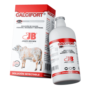 Render-Calcifort Render-Calcifort