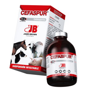 Render-Cefaspur Render-Cefaspur