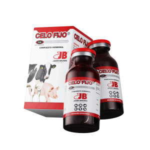 Render-Celo-Fijo Render-Celo-Fijo