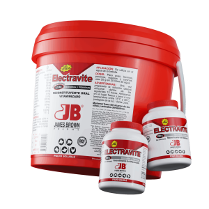 Render-Electravite Render-Electravite