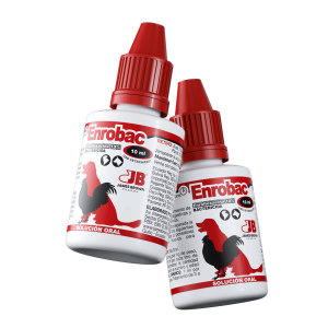 Render-Enrobac Render-Enrobac