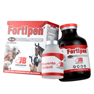 Render-Fortipen Render-Fortipen