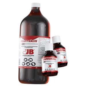 Render-Garrakill Render-Garrakill