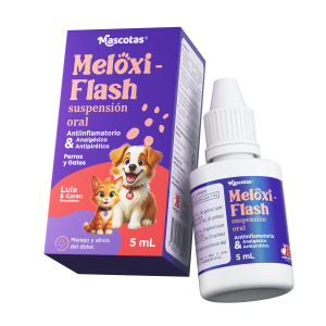 Render-Meloxiflash Render-Meloxiflash