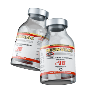 Render-Neumobac Render-Neumobac