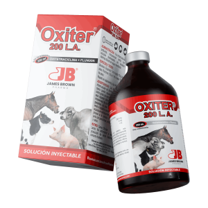 Render-Oxiter Render-Oxiter