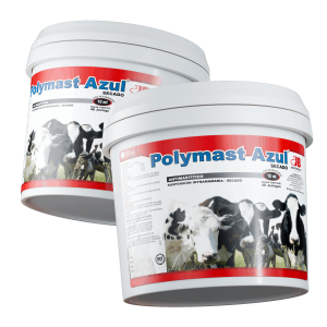 Render-Polymast-Azul Render-Polymast-Azul