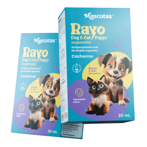 Render-RayoDog-y-Cat-Puppy