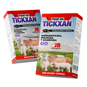 Render-Tickxan Render-Tickxan