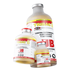 Render-Tribac-8 Render-Tribac-8