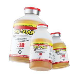 Render-Triviar Render-Triviar