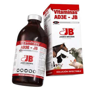 Vitaminas AED3 frasco Vitaminas AED3 frasco